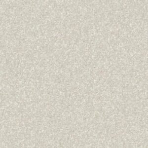 NEWBERN CLASSIC 12' by Shaw Floors - Ivory Tint