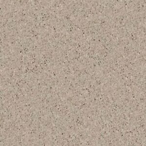 NEWBERN CLASSIC 12' by Shaw Floors - Plaster