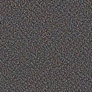 CHANGE IN ATTITUDE BROADLOOM by Philadelphia Commercial - Take Action