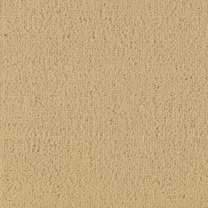 COLOR ACCENTS by Philadelphia Commercial - Flax