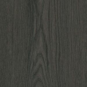 Philosopher's Tree by Philadelphia Commercial - Igneous