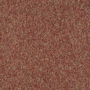 FRANCHISE II 26 by Philadelphia Commercial - Raisinberry
