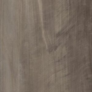 Frontier Plus by Shaw Floors - Grand Traverse