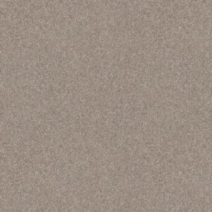 ELEVATED I by Shaw Floors - Mushroom