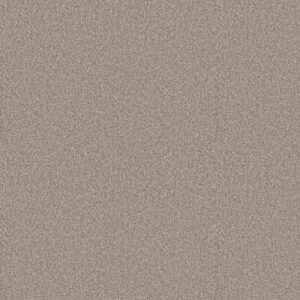 ELEVATED II by Shaw Floors - Dawn Beige