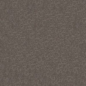 ELEVATED I by Shaw Floors - Flint