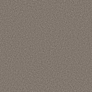 PRESCOTT VALLEY by Shaw Floors - Espresso