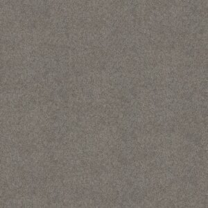ABILENE II by Shaw Floors - Powerful