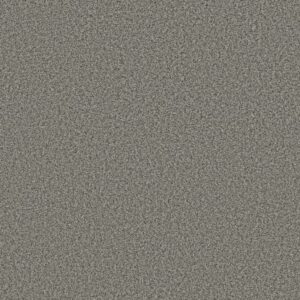 PRESCOTT VALLEY by Shaw Floors - Lunar