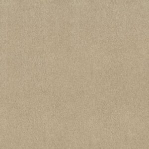 COMFORTING I by Shaw Floors - Sesame Seed