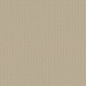 SAN ANTONIO by Shaw Floors - Biscuit
