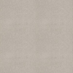 CEDAR CITY by Shaw Floors - Silhouette