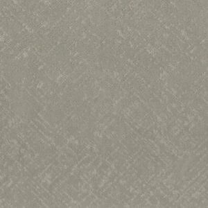 SINCERE FOCUS by Shaw Floors - Organic Grown