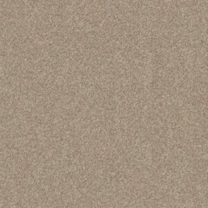 CANYON LAKE by Shaw Floors - Calm Ivory