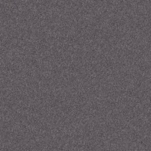 INLET SHORE II 12' by Shaw Floors - Rod Iron