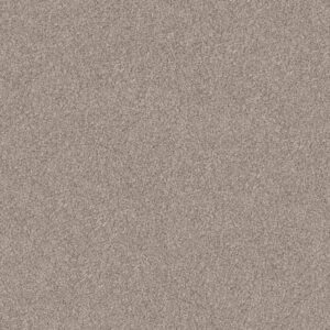 INLET SHORE 1 15' by Shaw Floors - Pale Ecru