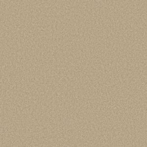 COMFORTING II by Shaw Floors - Sesame Seed