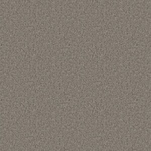 ABILENE I by Shaw Floors - Powerful