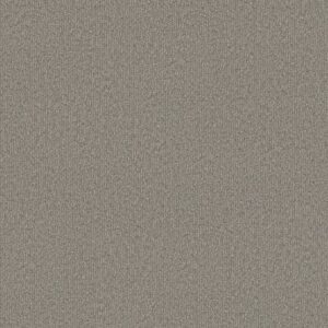 CLEVER BLEND by Shaw Floors - River Birch