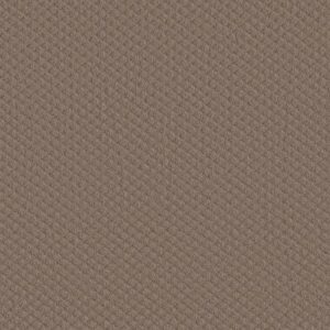 MIDLAND CHARM by Shaw Floors - Pure Earth