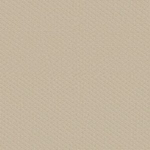 MIDLAND CHARM by Shaw Floors - Better Beige