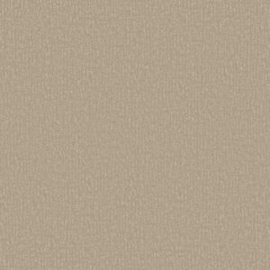 CLEVER DESIGN by Shaw Floors - Twine