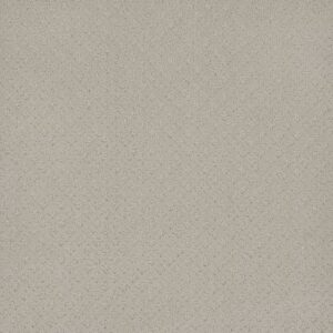 STELLAR by Dreamweaver - Snow Cap 6319