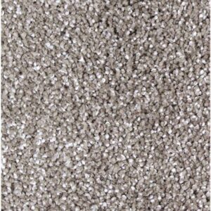 Exquisite Tones by Mohawk - Garden Bramble