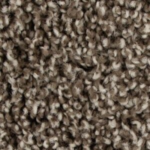 Color Fusion I by Mohawk - Taupe Whisper