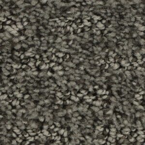 Stylish Tones by Mohawk - Atrium
