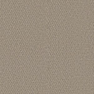 STONEBROOK by Shaw Floors - Basketry