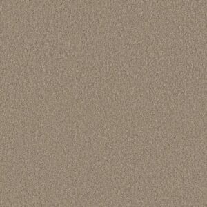 HIGH RANKING S by Shaw Floors - Broadstreet