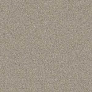 HIGH IMPACT B by Shaw Floors - Wind'S Breath