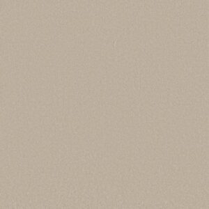 AWAKEN SPIRIT II 12' by Shaw Floors - Cloud