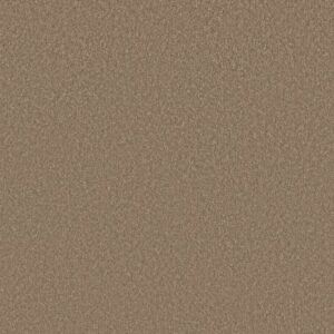 WAY TO GO III by Shaw Floors - Polo Tan