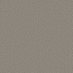 TWEED COMFORT II by Shaw Floors - Island Tour