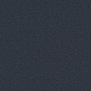 TONAL COMFORT I by Shaw Floors - Under The Stars