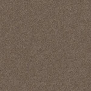 TONAL COMFORT I by Shaw Floors - Summer House