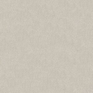 TONAL COMFORT I by Shaw Floors - Warm Blanket