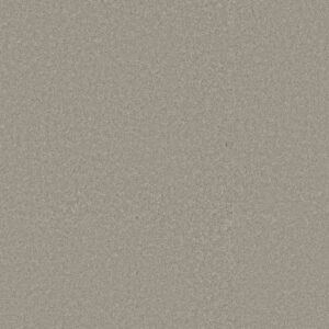 WAY TO GO II by Shaw Floors - Taupe Tone