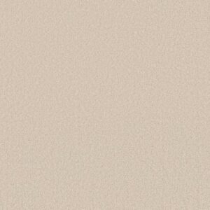 WAY TO GO II by Shaw Floors - Soft Landing