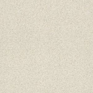 TONAL COMFORT I by Shaw Floors - Champagne Toast
