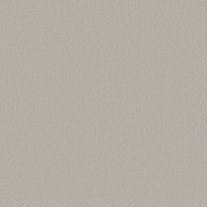CANVAS COMFORT by Shaw Floors - Quiet Time