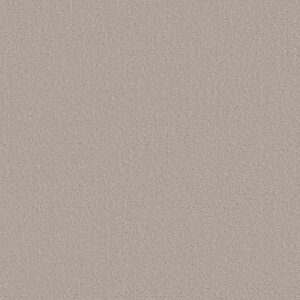 CANVAS COMFORT by Shaw Floors - Chill In The Air