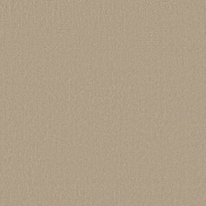 CANVAS COMFORT by Shaw Floors - Back Patio