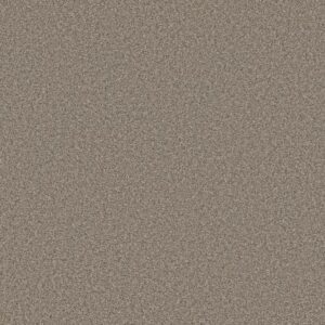 TWEED COMFORT I by Shaw Floors - Stroke Of Luck