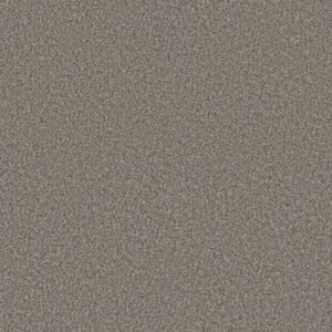 WAY TO GO I by Shaw Floors - Desert Khaki