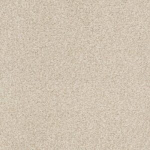 TONAL COMFORT BLUE by Shaw Floors - Happy Place