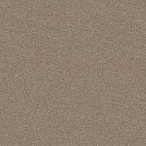 ULTRA LUSH by Shaw Floors - Sands Of Time
