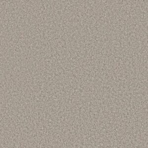 REMIXED CLASSIC by Shaw Floors - Canoe